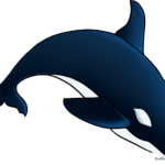 A finished, colorful drawing of an orca swimming, used as the featured tutorial image.
