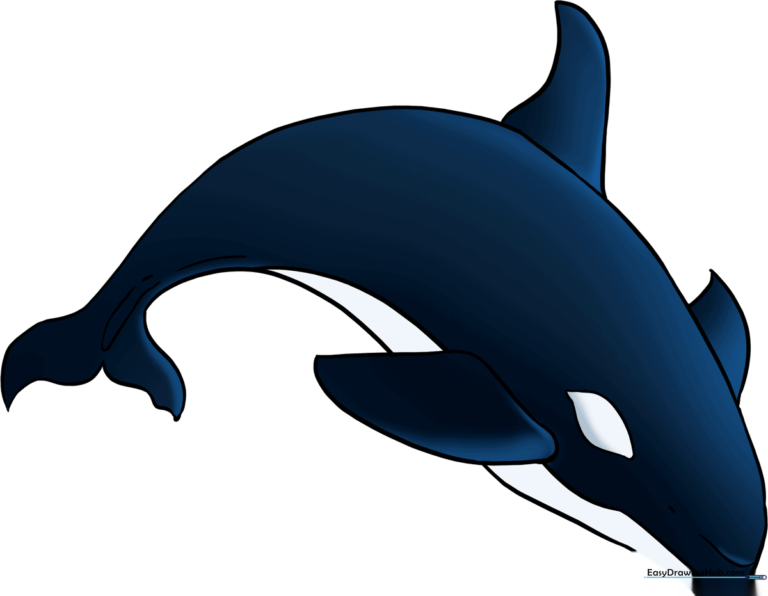 A finished, colorful drawing of an orca swimming, used as the featured tutorial image.