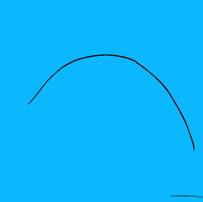 Drawing the underbelly line and the small mouth detail on the orca's head.