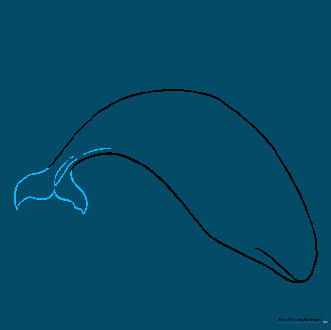 Detailed sketch of the orca's tail fin using curved lines and a small U-shape.