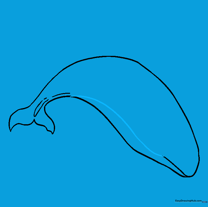 Connecting the tail to the mouth with a long, smooth line to complete the body outline.