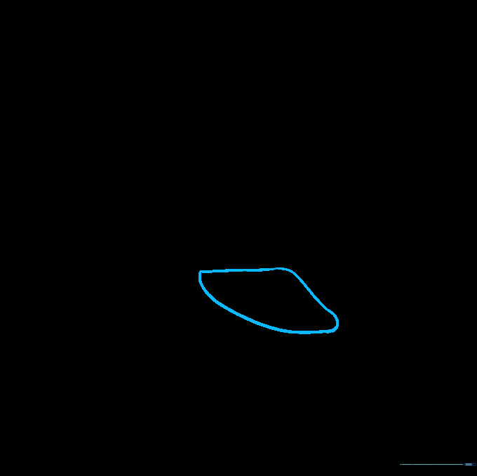 Adding the large, rounded triangular pectoral fin to the side of the orca's body.