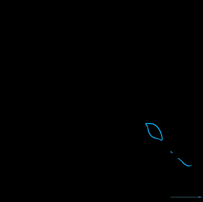 Detailing the orca's face with a small eye and the characteristic white eyespot.