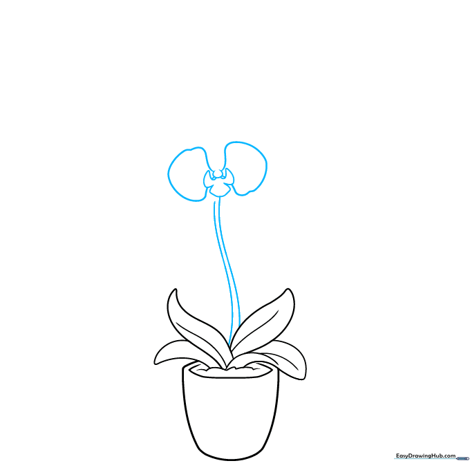 A tall stem rising from the leaves with the first orchid flower bloom at the top.
