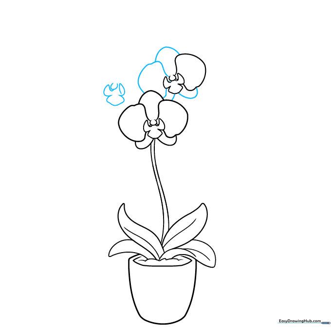 Adding petals to the second flower and outlining the base of a third orchid bloom.