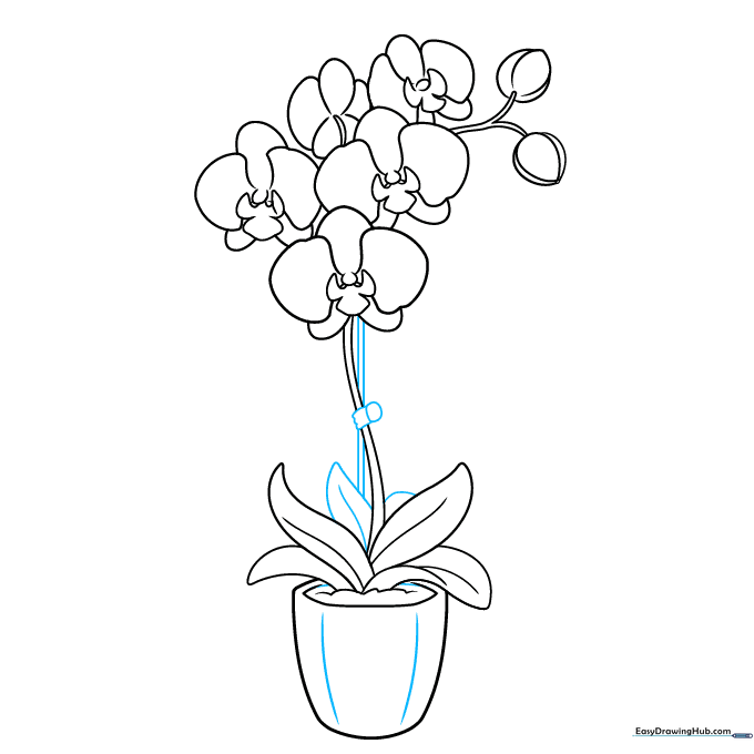 Finalizing the drawing with pot texture, a plant support stick, and cleaning up construction lines.