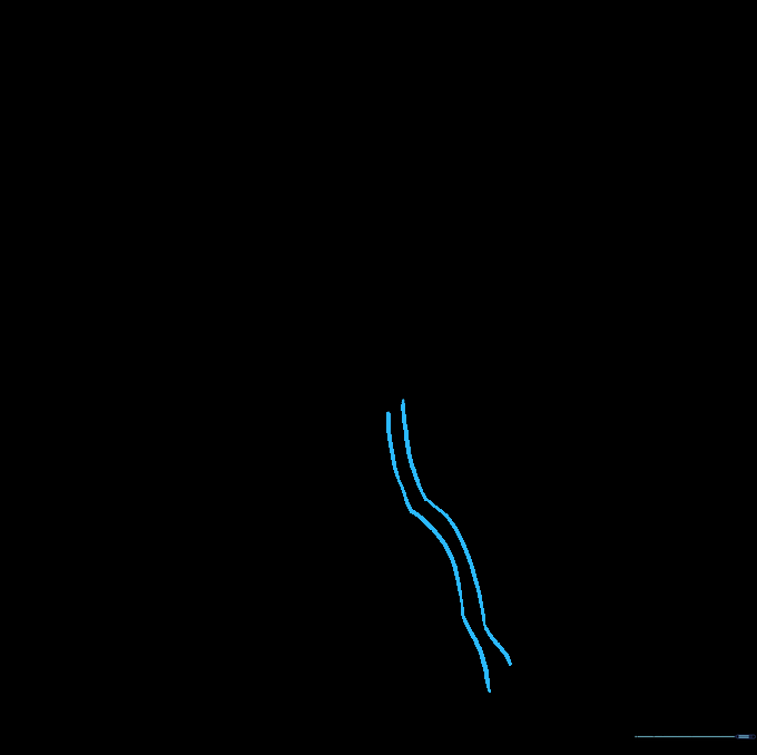 Drawing the long, curved stem extending from the bottom of the orchid flower.