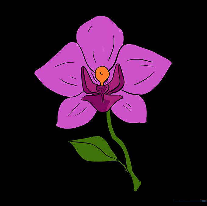 A fully colored, vibrant orchid drawing with pink petals and green leaves.