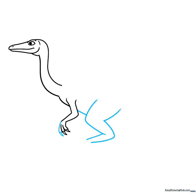 Outlining the belly and the start of the powerful rear leg.