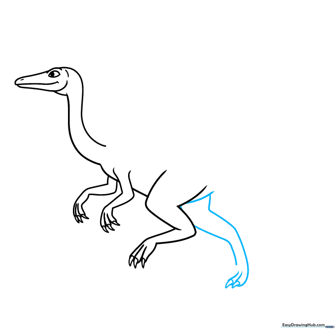 Drawing the base of the tail and the rear leg structure.