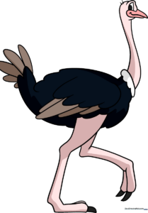 Colorful illustration of a cartoon ostrich standing in the grass.