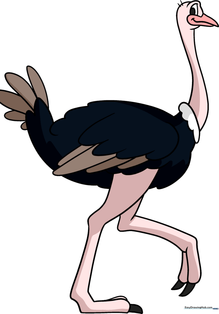 Colorful illustration of a cartoon ostrich standing in the grass.