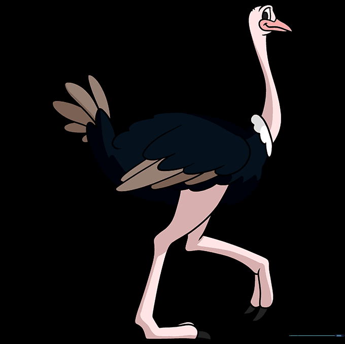 Final colored ostrich drawing with black and white plumage.