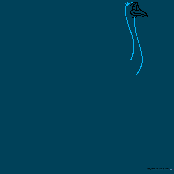 Drawing the long, curved neck of an ostrich with small feather tufts on the head.