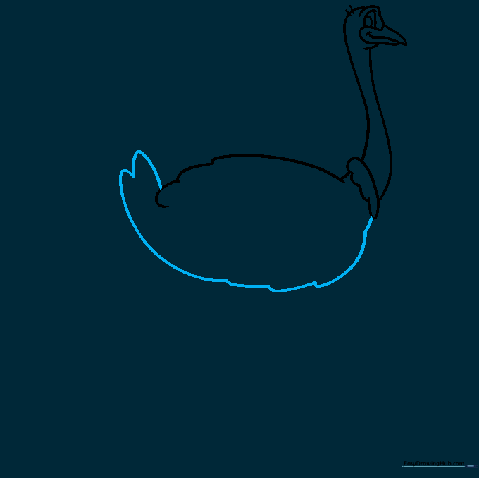 Outlining the rounded body and tail of the ostrich.