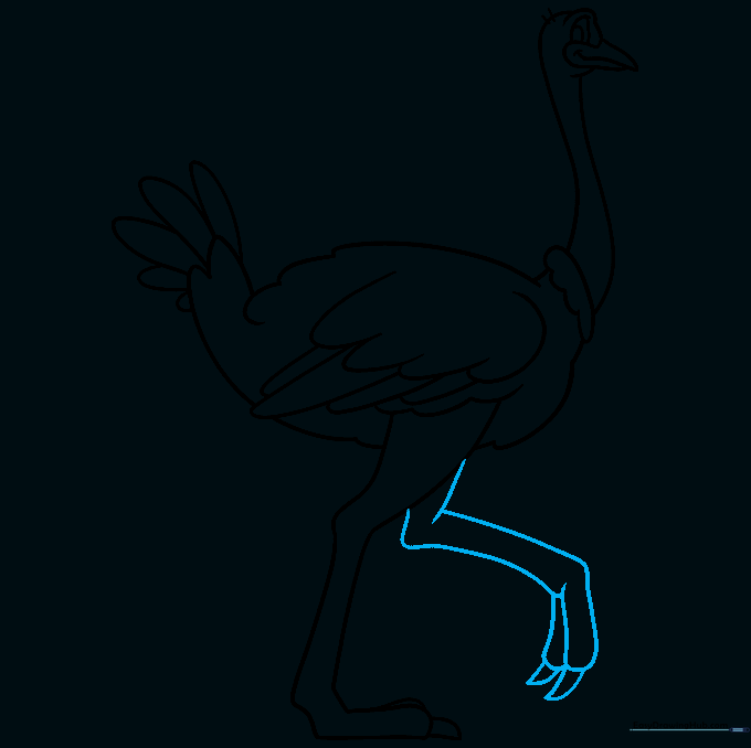 Drawing the second leg and foot to complete the ostrich outline.