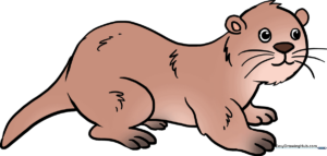 A finished, colorful drawing of a friendly otter, showcasing the final result of the tutorial.