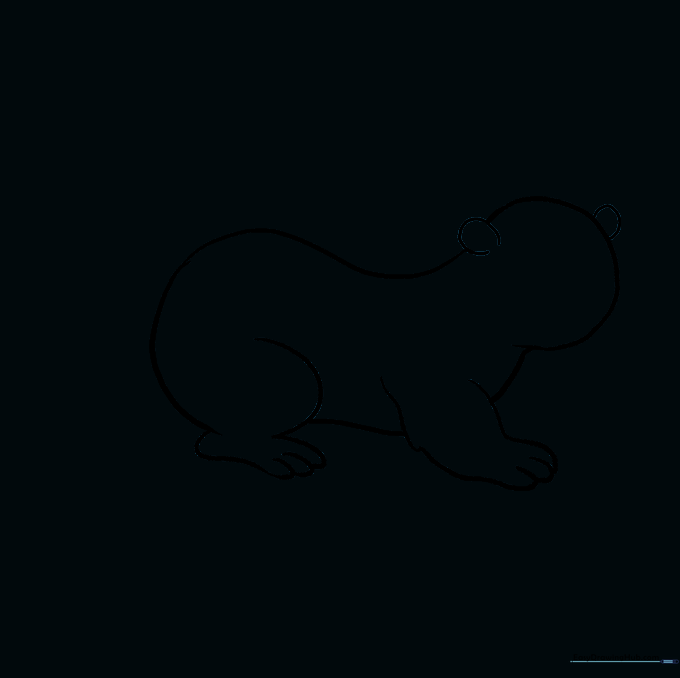 The otter drawing with internal guide lines erased for a clean outline.