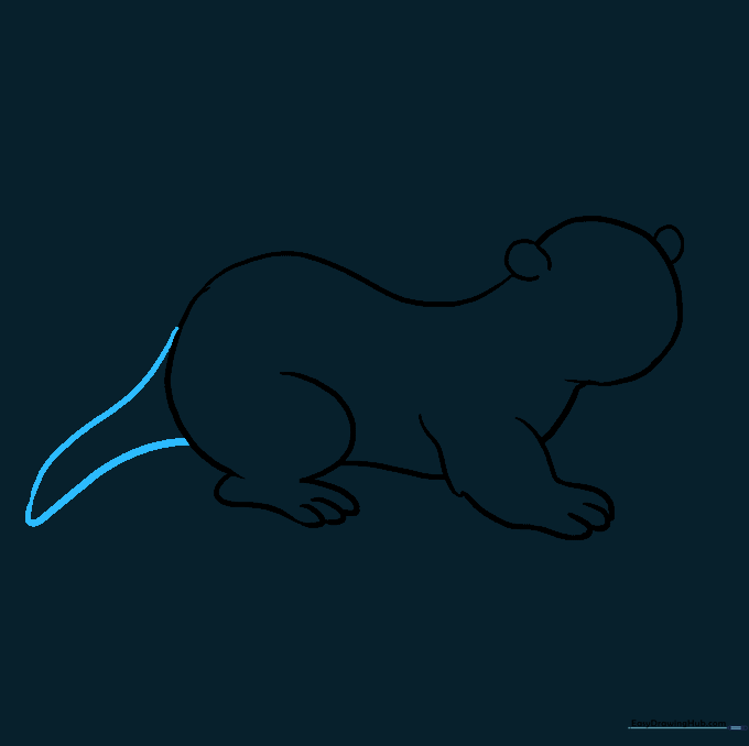 The otter now has a long, pointed tail extending from its body.