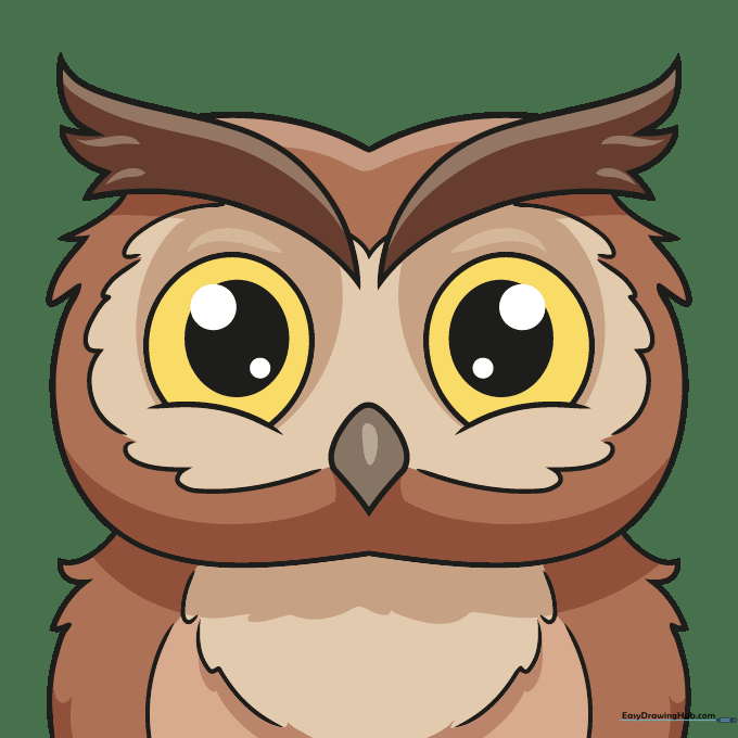 A fully colored, friendly cartoon owl face.