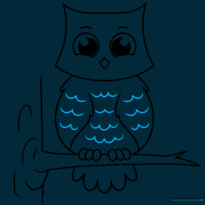 The completed owl outline with added feather texture details.