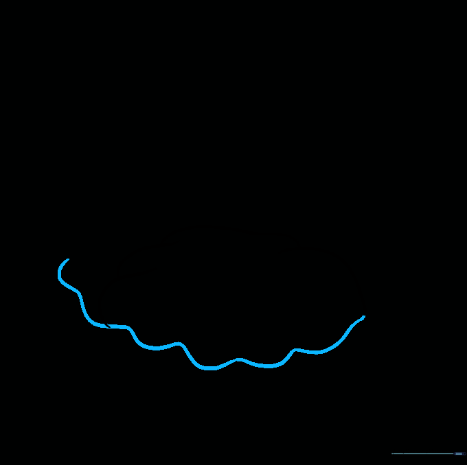Drawing a long wavy line to define the scalloped edge of the bottom oyster shell.