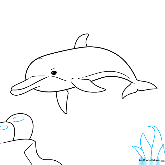 Drawing of sponges and seaweed added to the ocean floor scene.