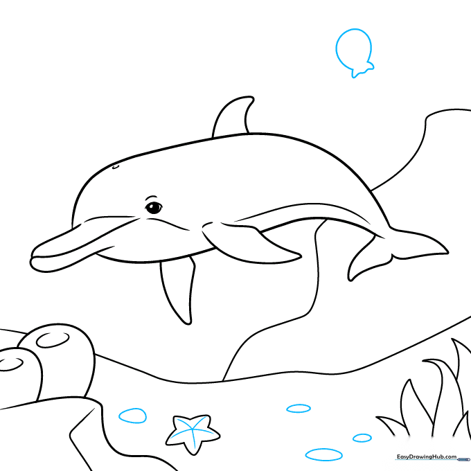 Dolphin scene with a detailed starfish and the outline of a jellyfish.