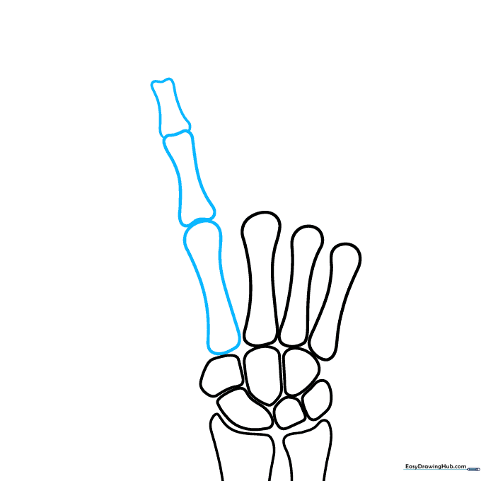Adding the first phalanges of the fingers using classic bone shapes.