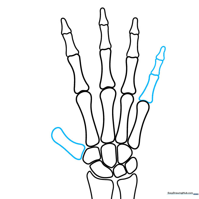 Drawing the pinky finger and the base of the thumb.
