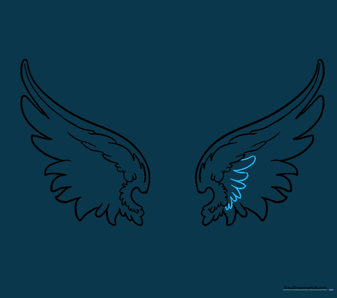 Drawing larger feathers in the midsection of the wings.
