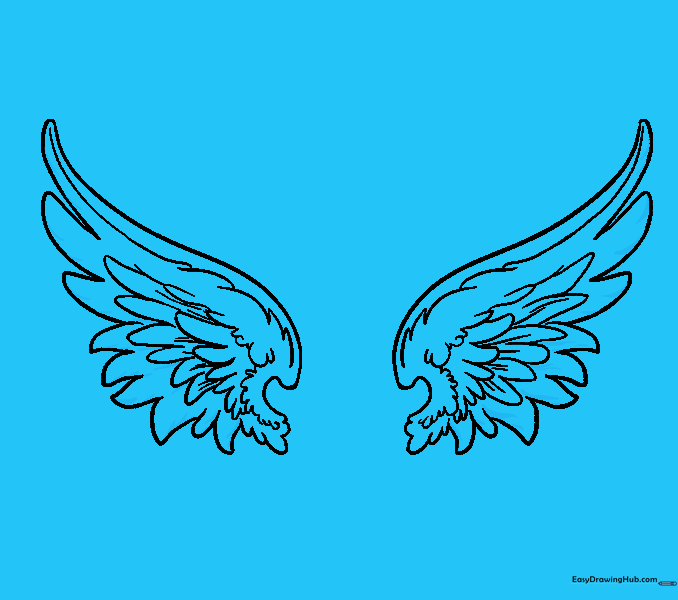 Adding shadow lines to the base of the flight feathers.