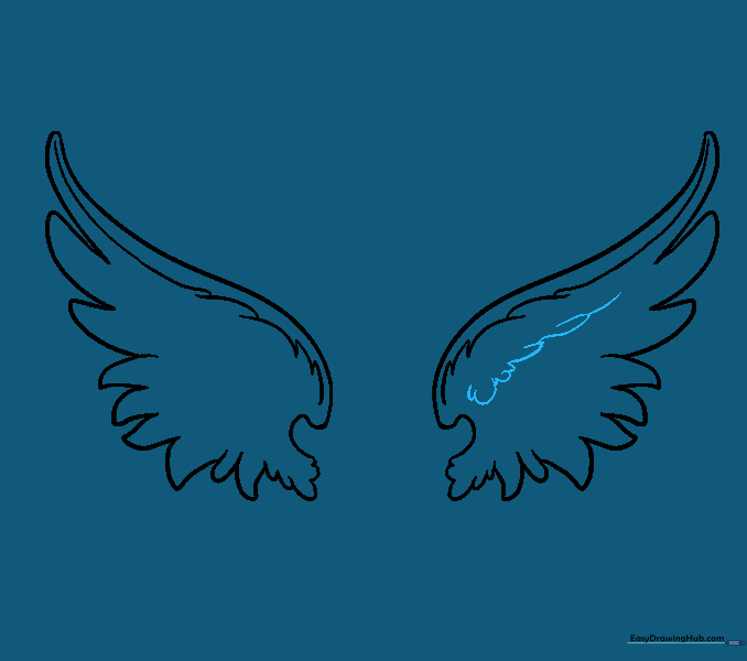 Adding more feather density to the center of the wings.