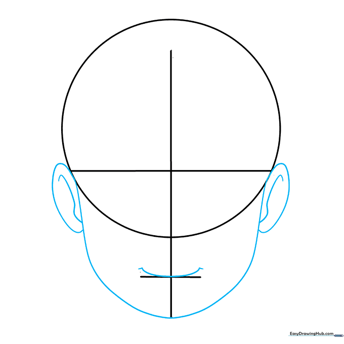 Drawing the lower face outline and ears using the previously established grid.