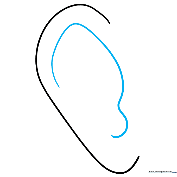 A winding, irregular line drawn inside the outer ear shape to define the inner cartilage.