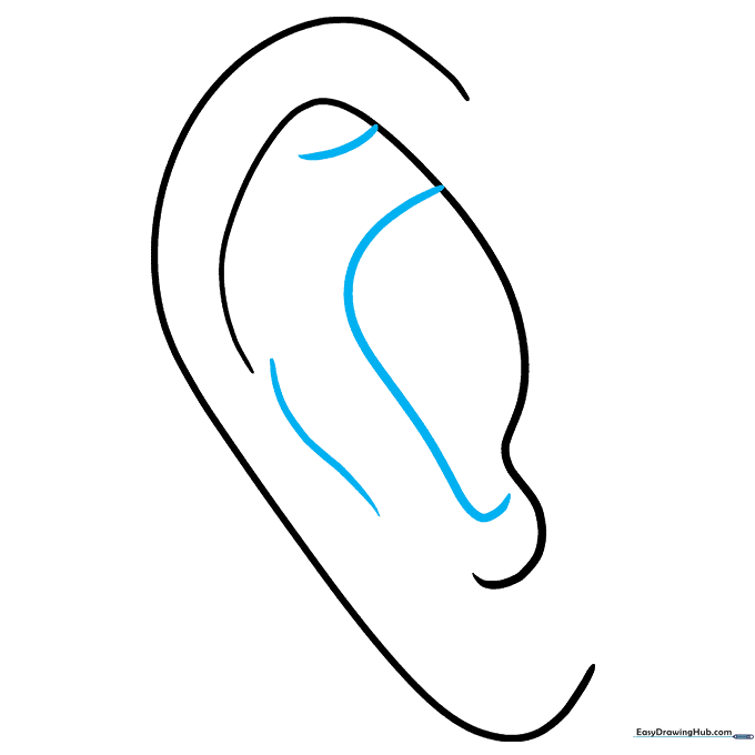 Adding a small, rounded shape in the center of the ear to represent the ear canal and depth.