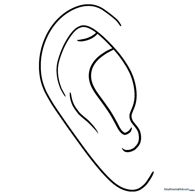 The completed anime ear drawing with clean, defined lines.