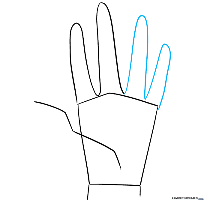 Adding the ring and pinky fingers to complete the hand structure.