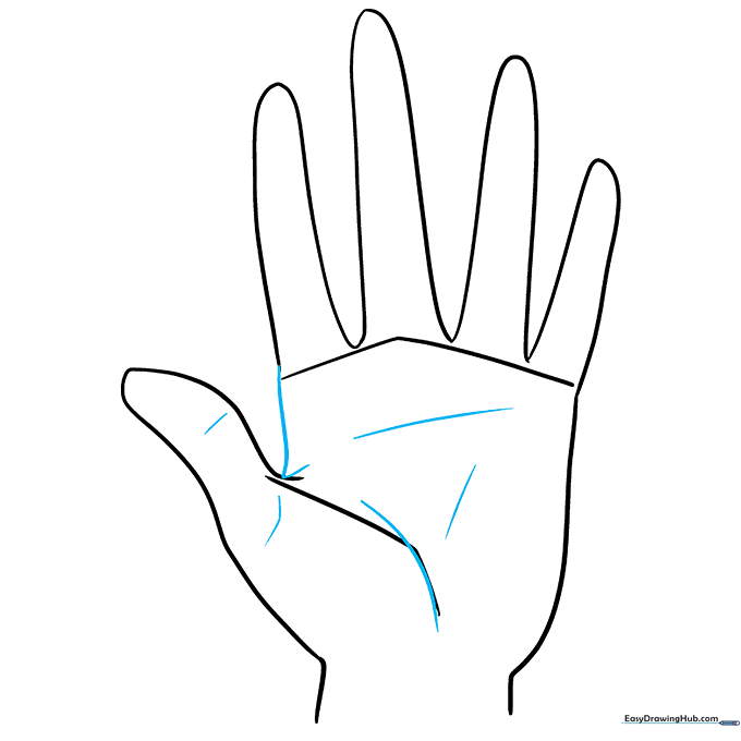 Erasing construction lines and adding detail lines to the palm and thumb.
