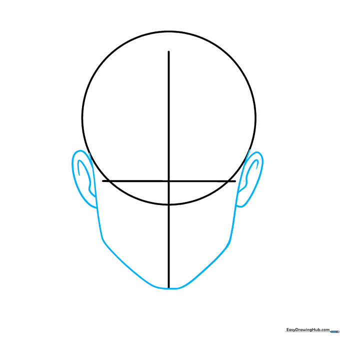 Drawing the lower jaw and ears attached to the circular head guide.