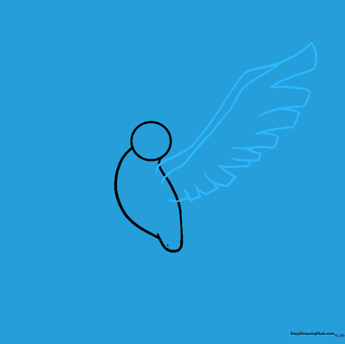 Drawing the first wing with long, curved lines and rectangular feather segments.