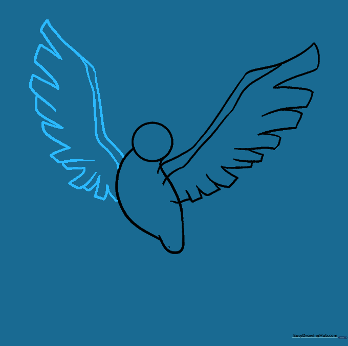 Mirroring the wing structure on the opposite side of the body.