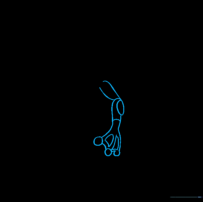 Drawing the first arm with detailed fingers and webbing.