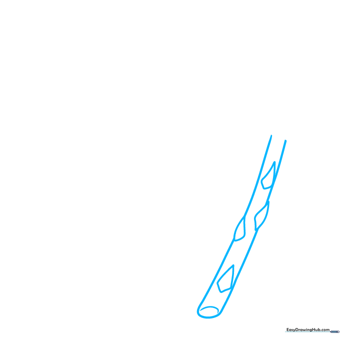 Pencil sketch of a single asparagus stalk with diamond-shaped scale leaves and a curved base.