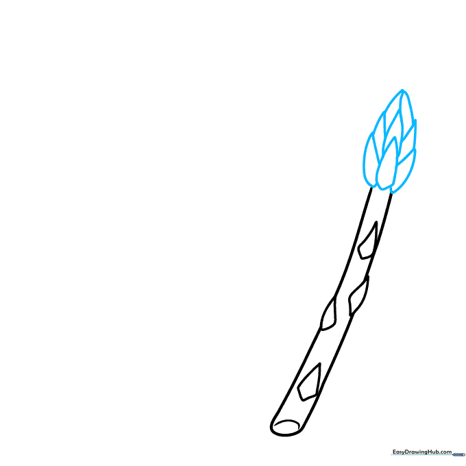 Detail view of the asparagus spear tip featuring overlapping teardrop and triangle shapes.