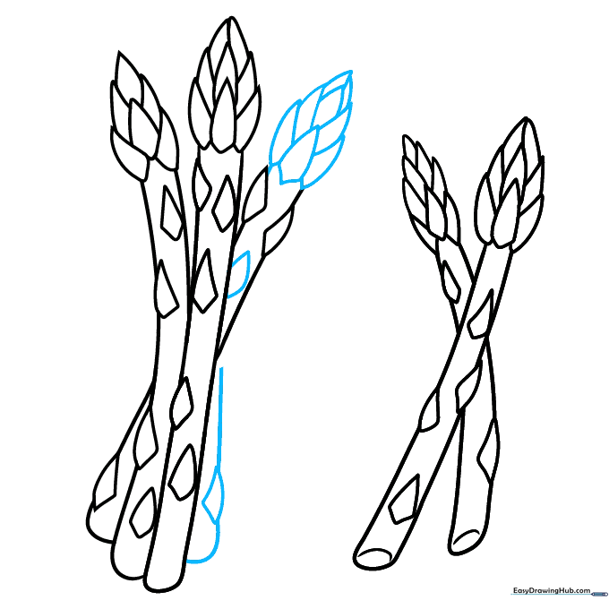 Finalizing the shapes and scale details of the entire asparagus bunch.
