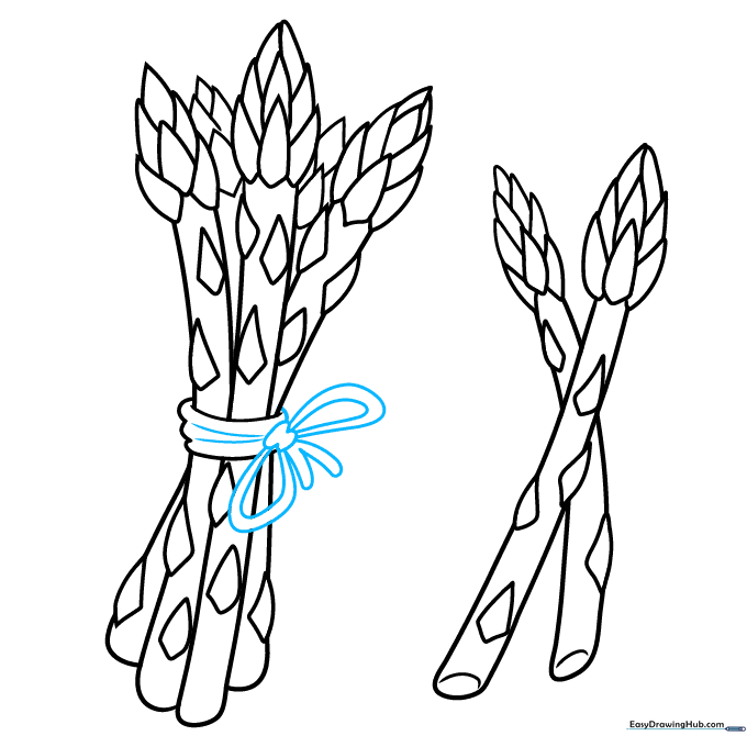 Adding a bow knot to the binding string to complete the asparagus drawing.