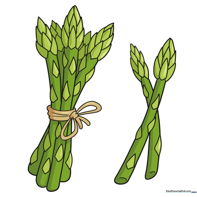 Finished, colored drawing of a bunch of asparagus with green stalks and purple-tinged tips.