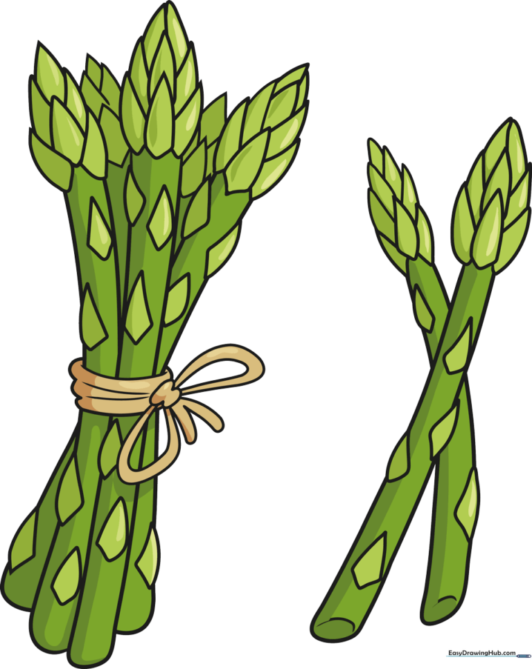 A colorful, finished illustration of a tied bunch of asparagus, perfect for kids' art projects.