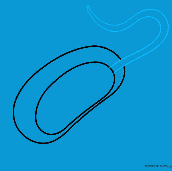 Drawing the long, whip-like flagellum extending from the end of the bacteria cell body.